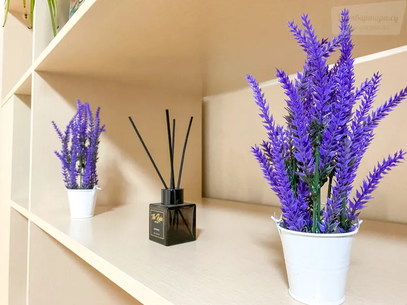 Фото квартиры 34