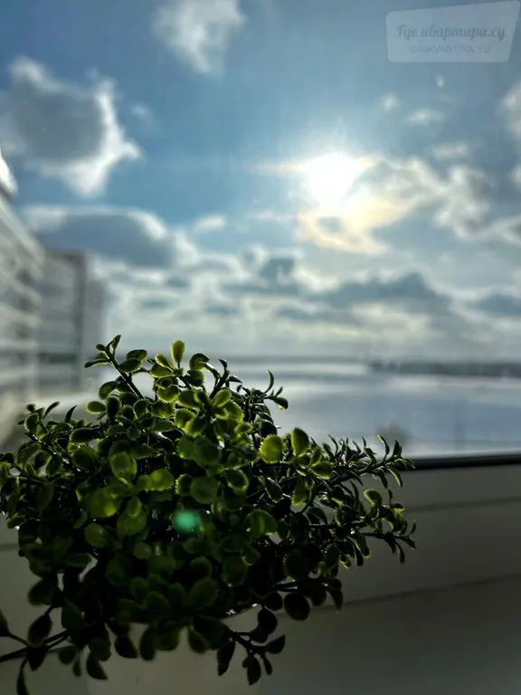 Фото квартиры 39