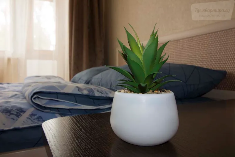 Фото квартиры 11