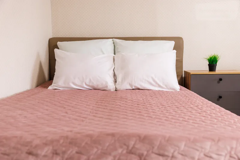 Красноармейский проспект, 1