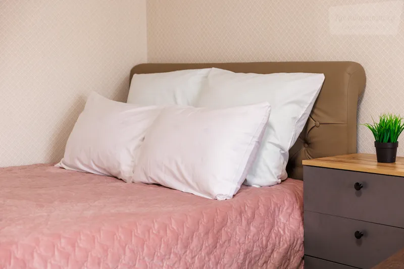 Красноармейский проспект, 1