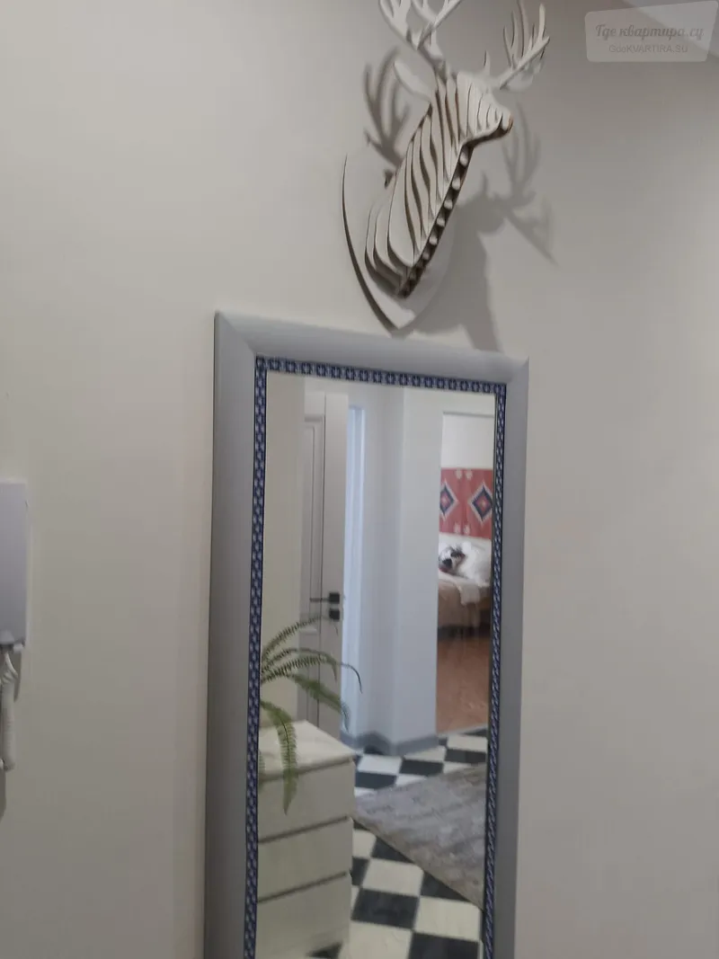 Фото квартиры 23