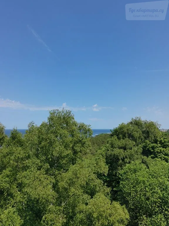 Фото квартиры 11