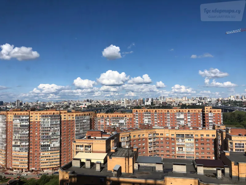 Новосибирск, 8