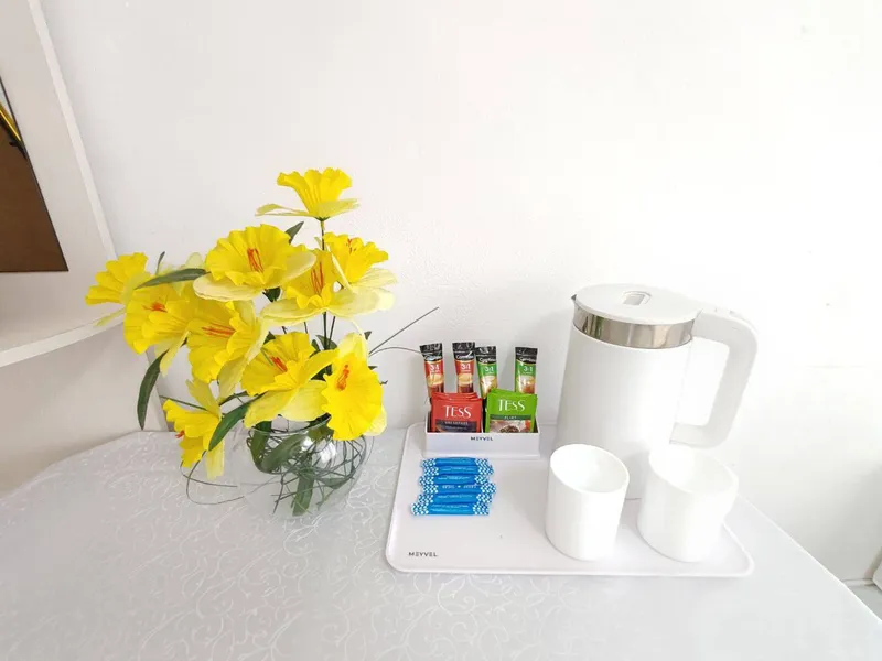 Ново-Садовая улица, 273