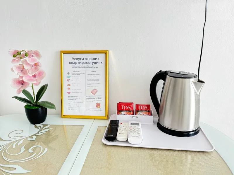 Ново-Садовая улица, 273