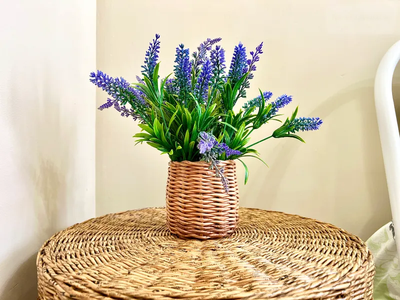 Фото квартиры 3