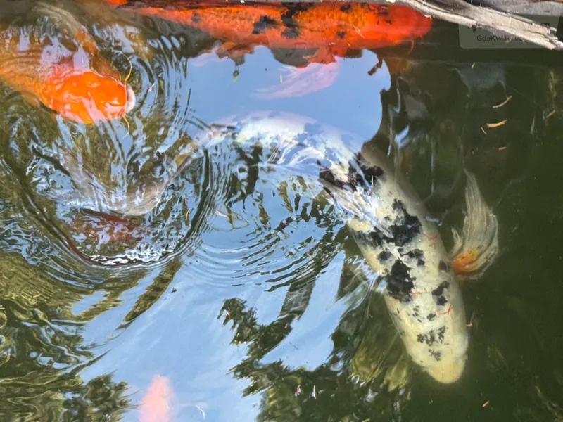 Фото квартиры 42