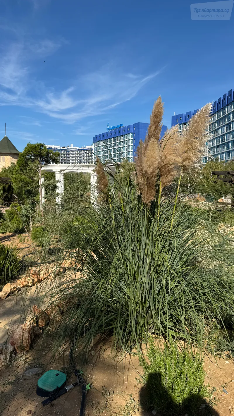 Фото квартиры 32