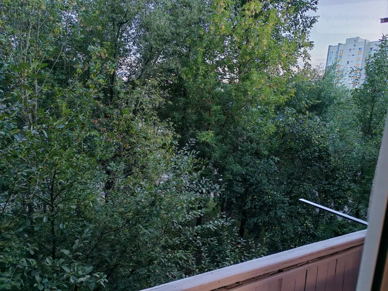 Фото квартиры 17