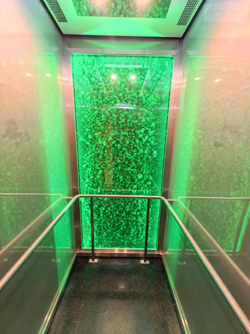 улица Волкова, 12