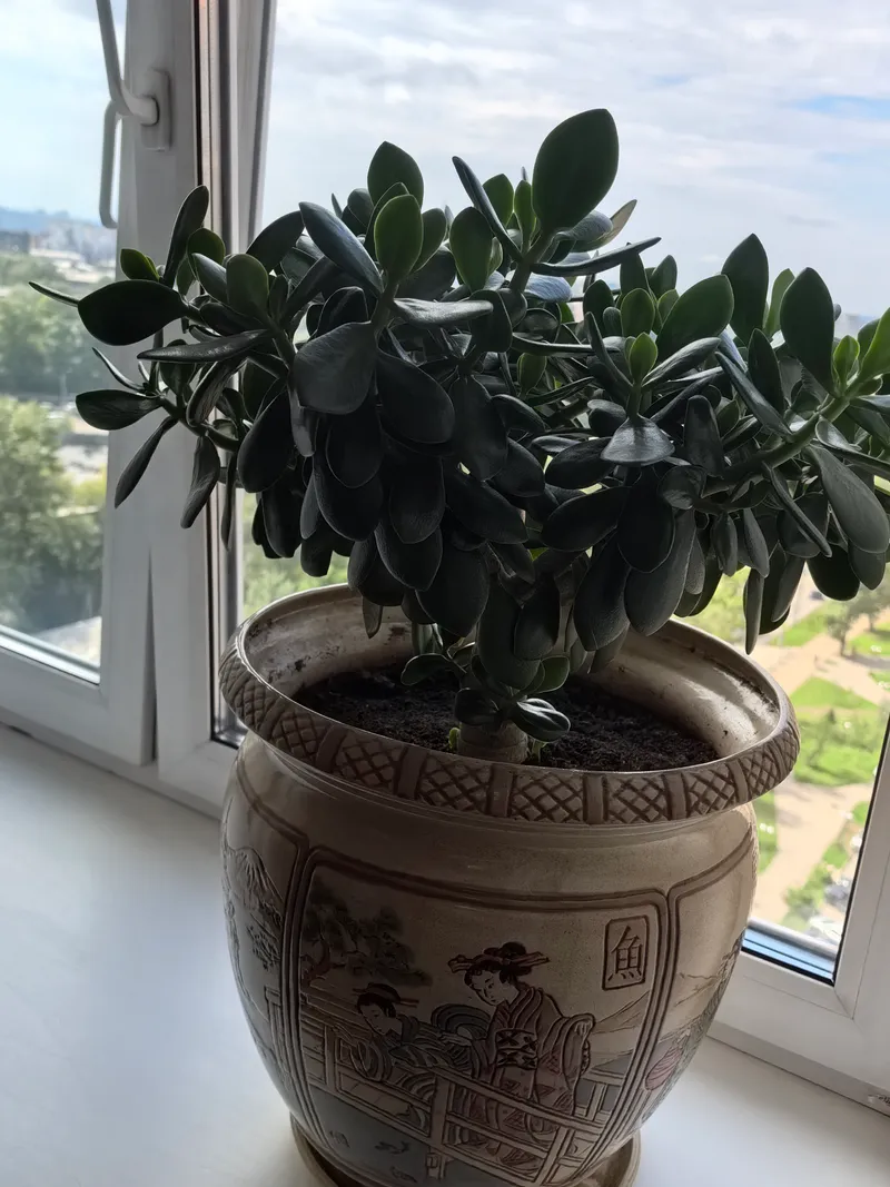 Депутатская улица, 69