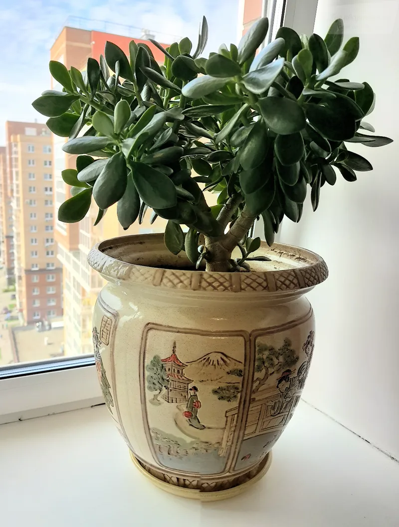 Депутатская улица, 69