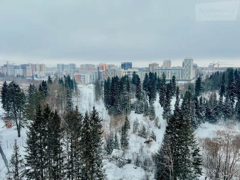 улица Холмогорова, 113