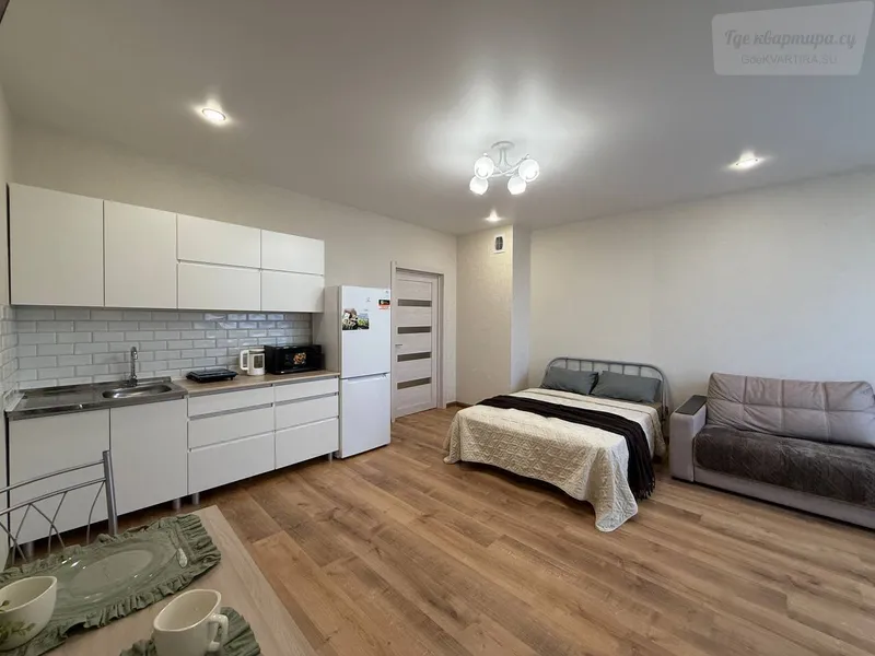 улица Добролюбова, 162/1