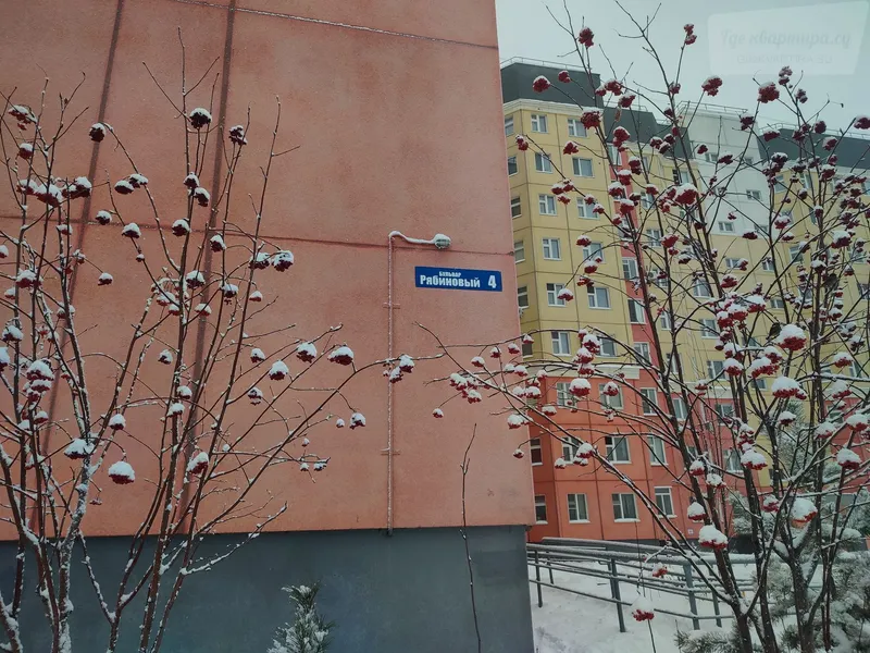 Рябиновый бульвар, 4