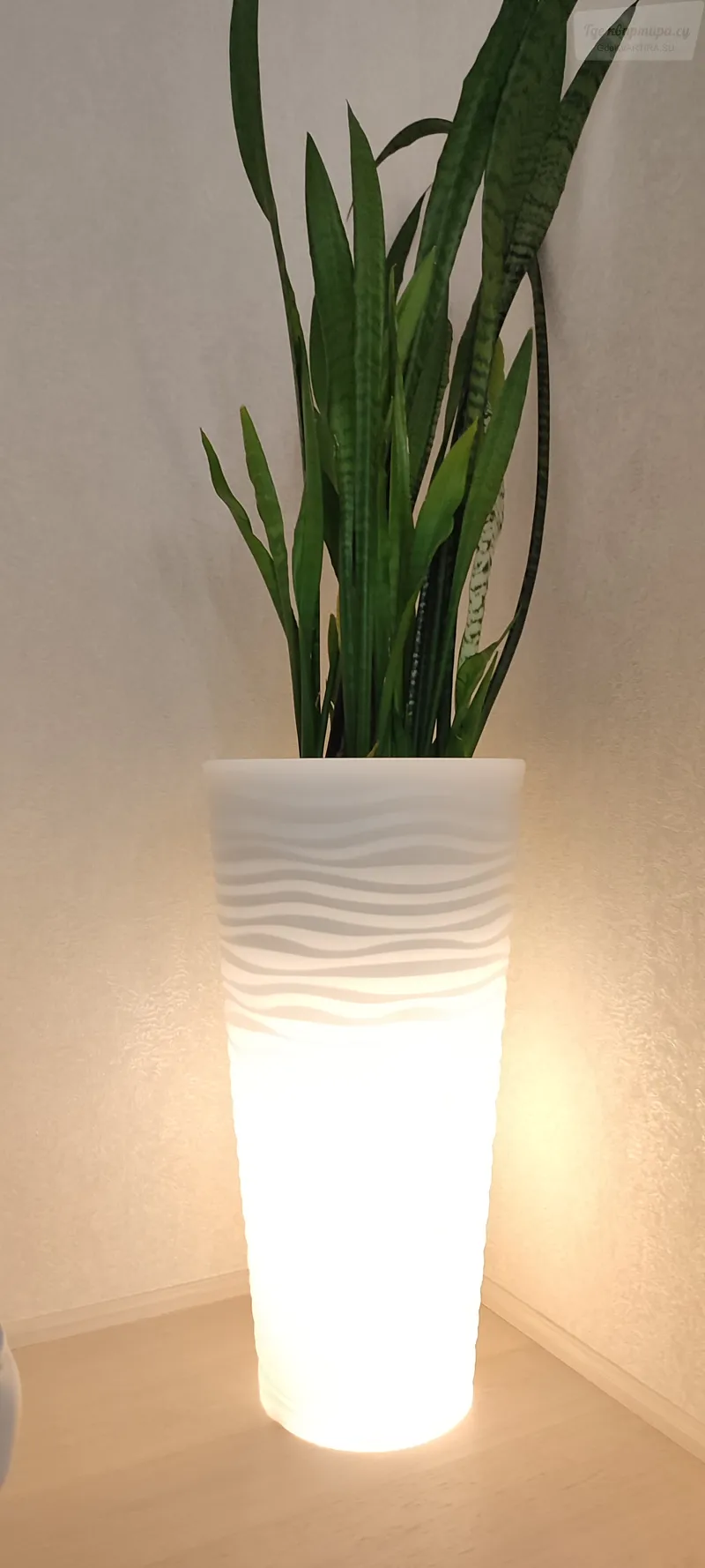 Фото квартиры 26