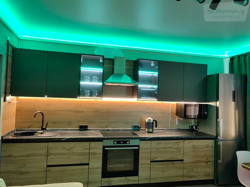 улица Партизана Железняка, 51