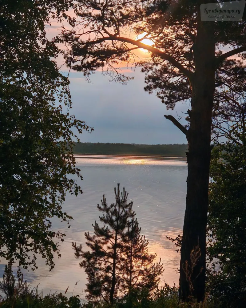 Фото квартиры 24