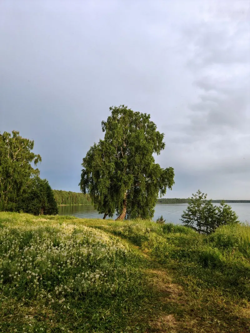 Фото квартиры 25