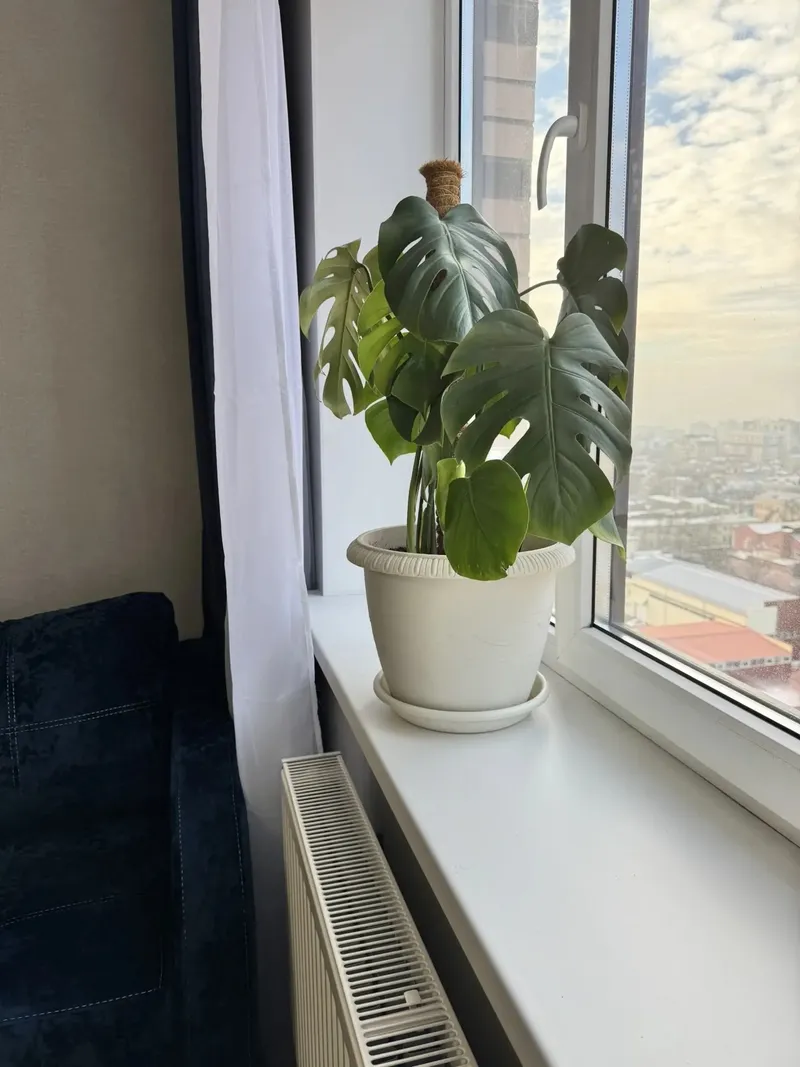 Фото квартиры 7