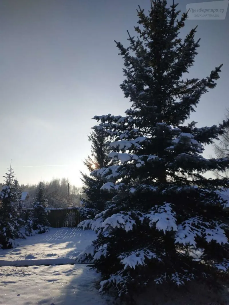 Центральная улица, 16