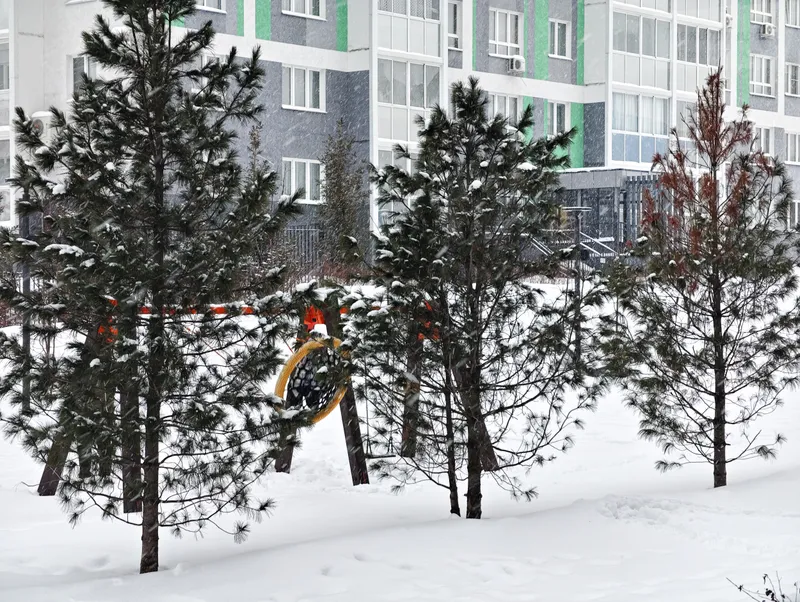 Фото квартиры 19