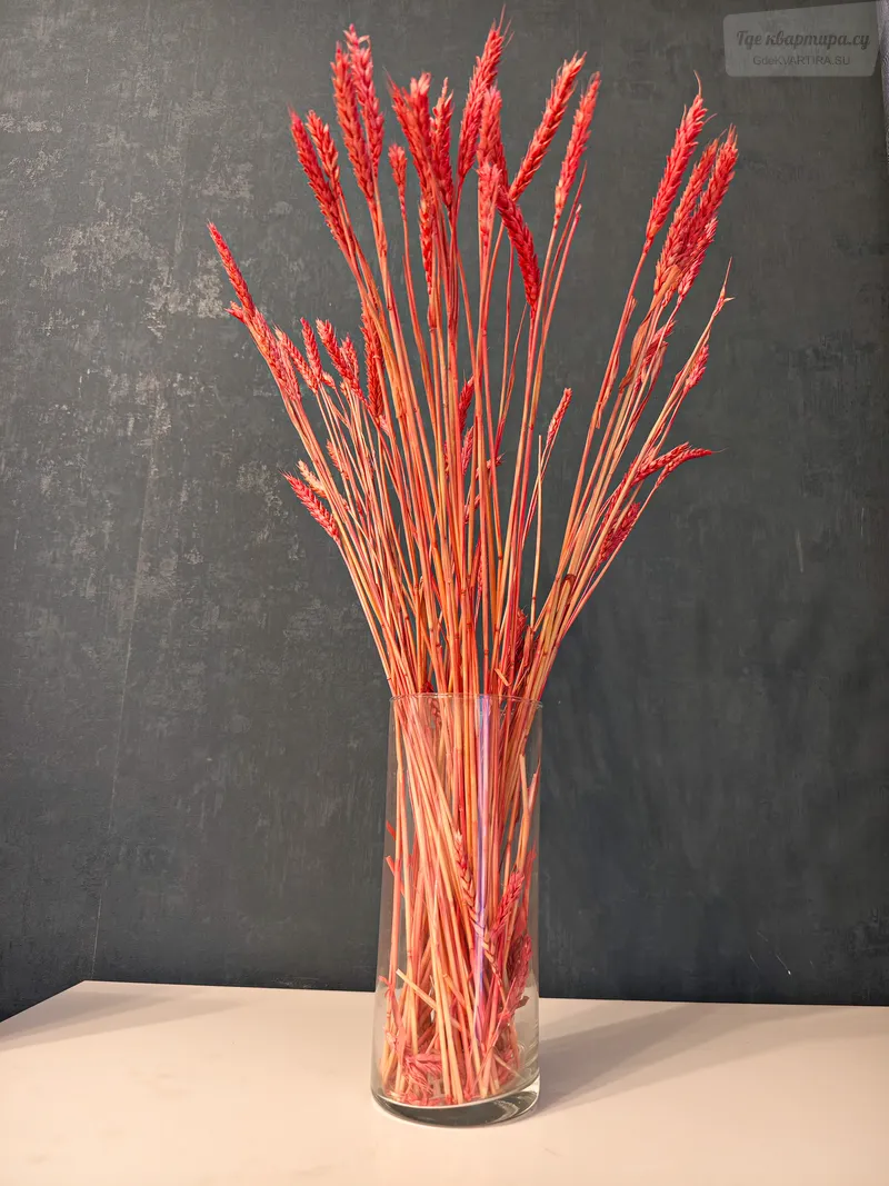 Фото квартиры 29