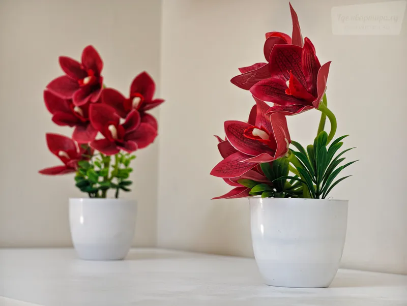 Фото квартиры 28