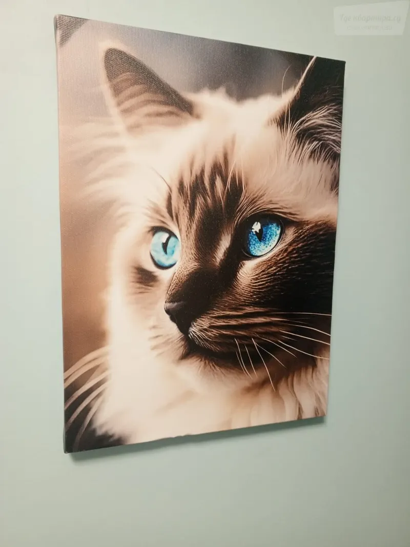 Нехинская улица, 34