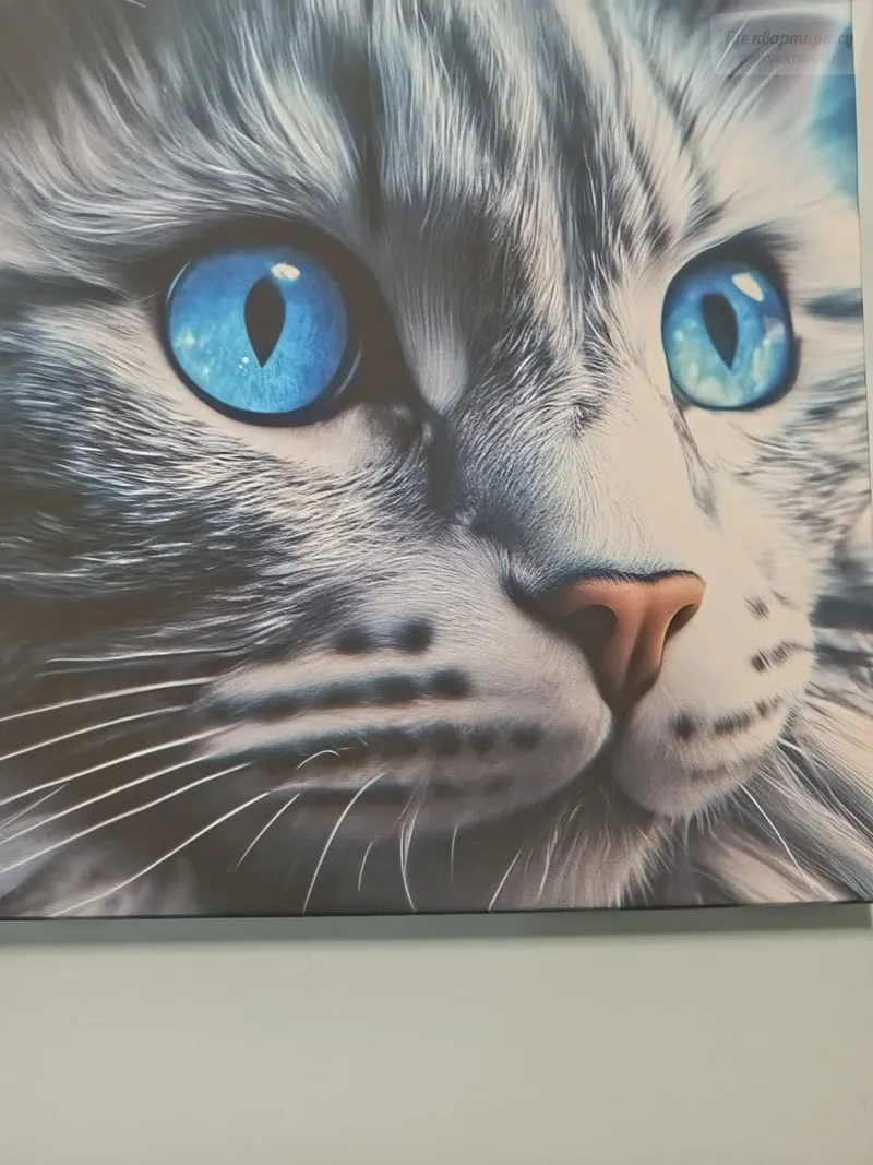 Нехинская улица, 34