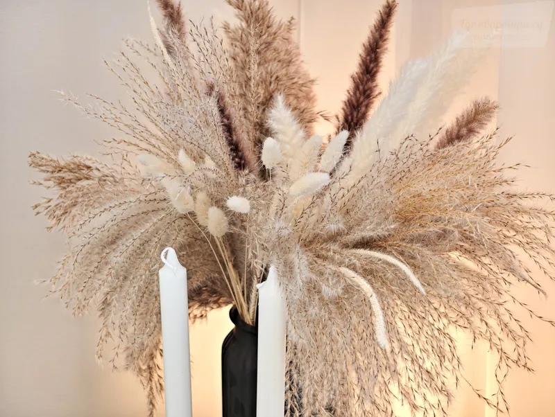 Фото квартиры 18