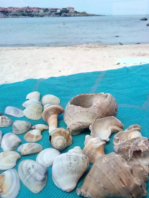 Фото квартиры 18