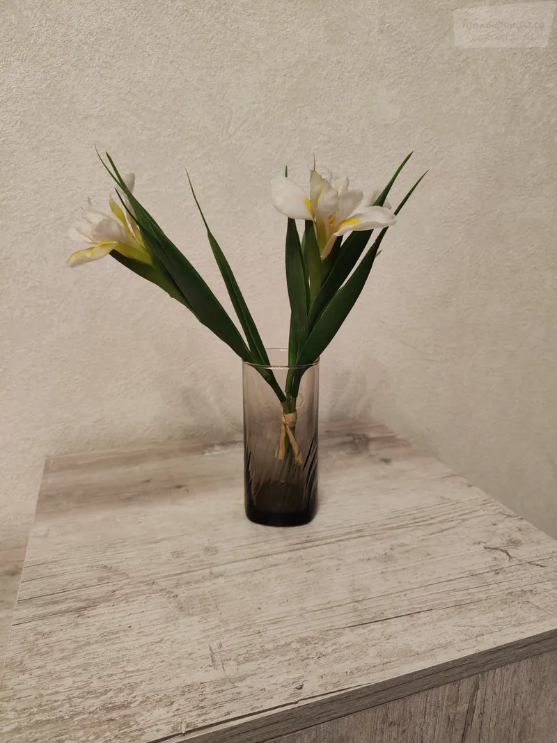 Фото квартиры 18