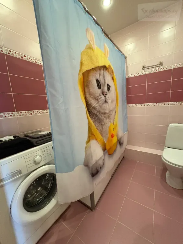 Фото квартиры 10