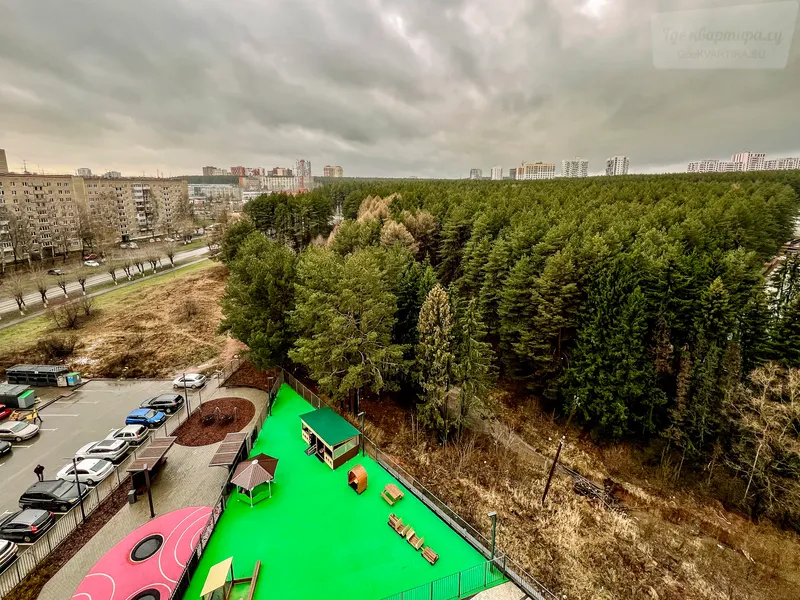 Фото квартиры 24