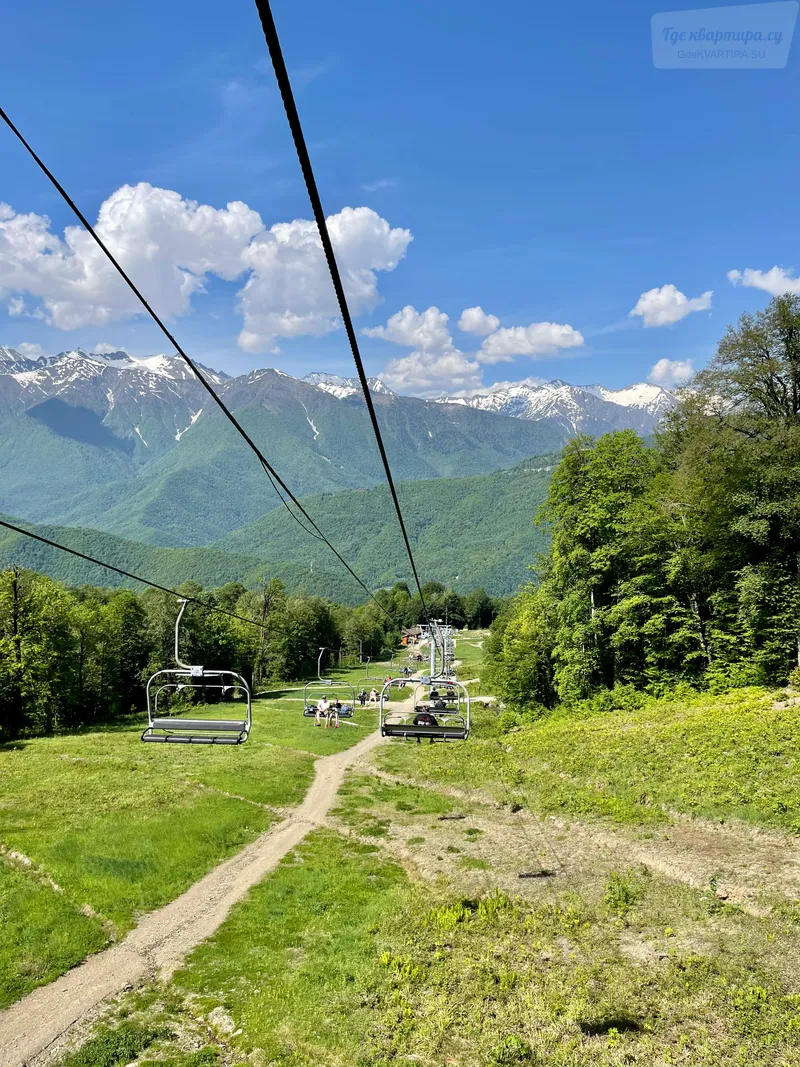 Фото квартиры 23