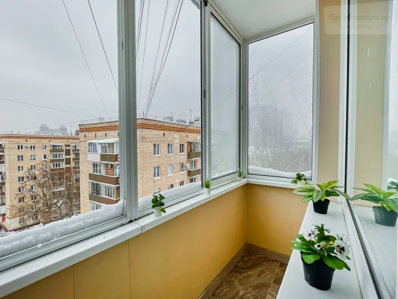 Фото квартиры 24