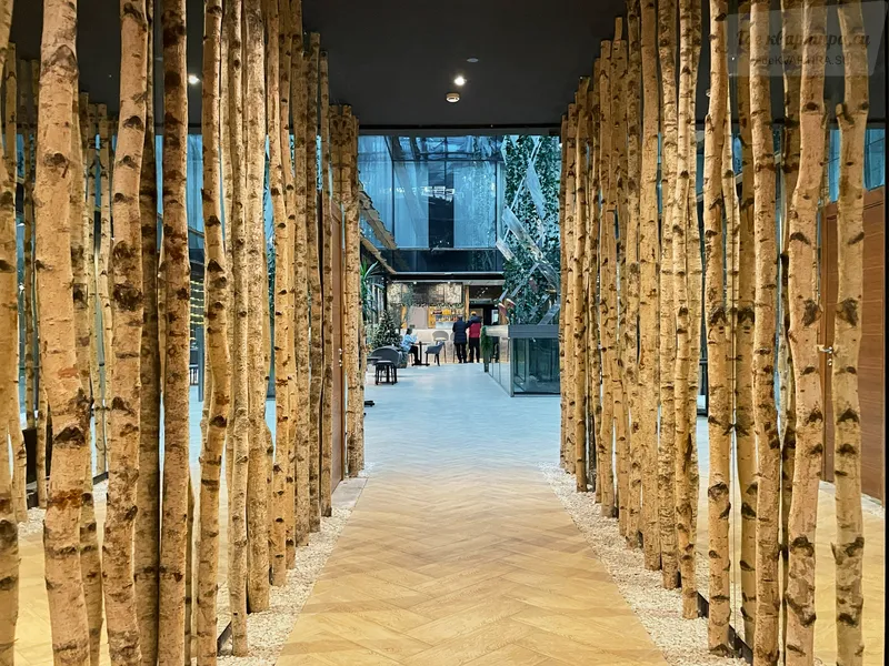 Фото квартиры 11