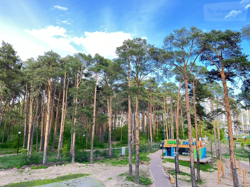 Фото квартиры 11