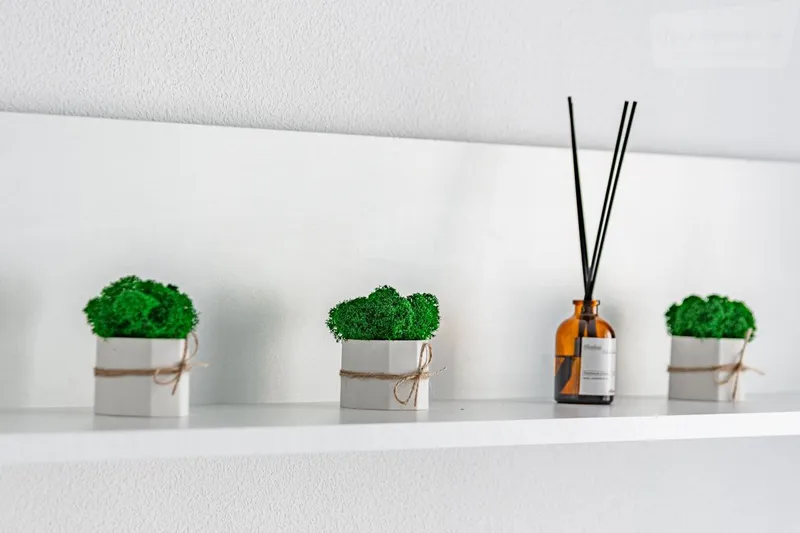 Фото квартиры 19