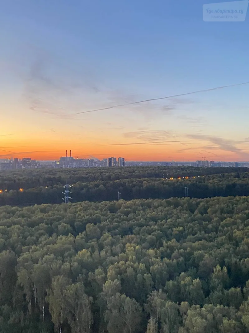 Фото квартиры 11