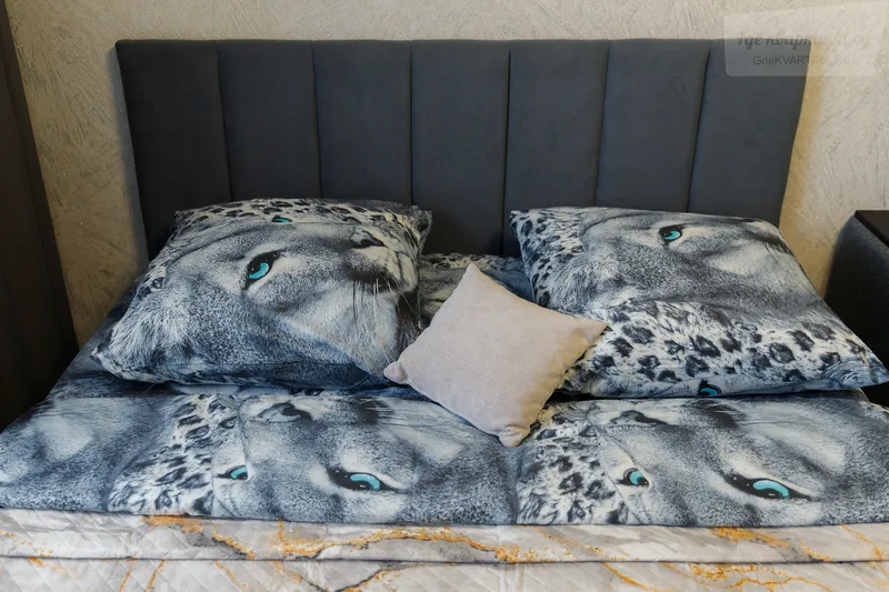 Фото квартиры 38