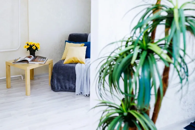 Фото квартиры 16