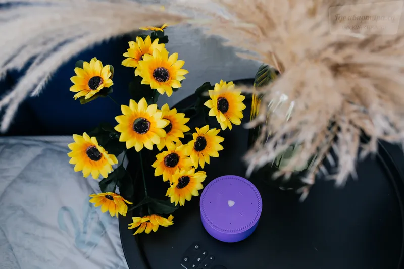 Фото квартиры 15