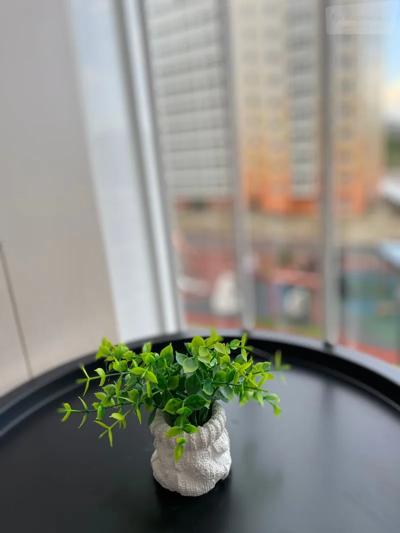 Фото квартиры 23