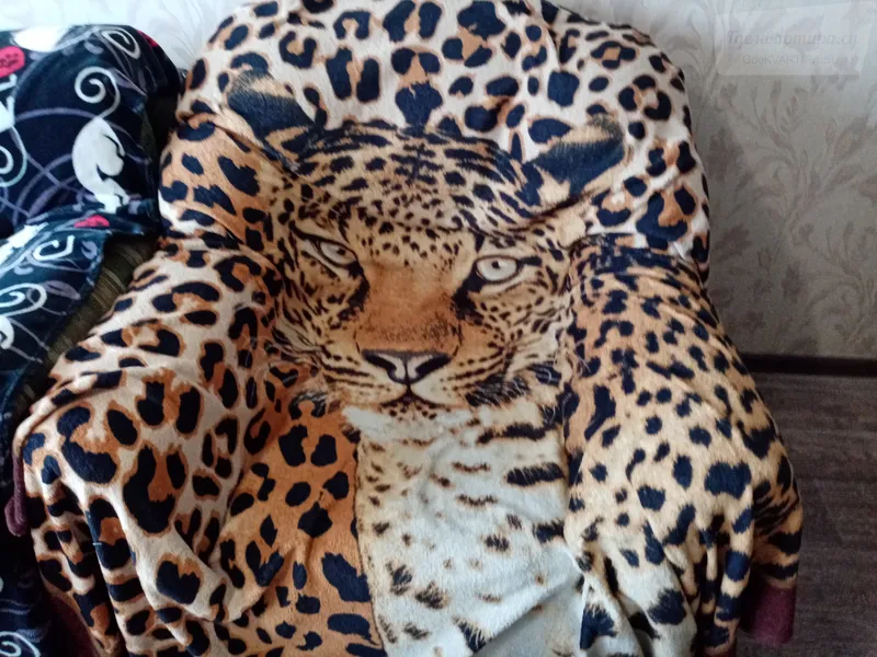 Фото квартиры 5