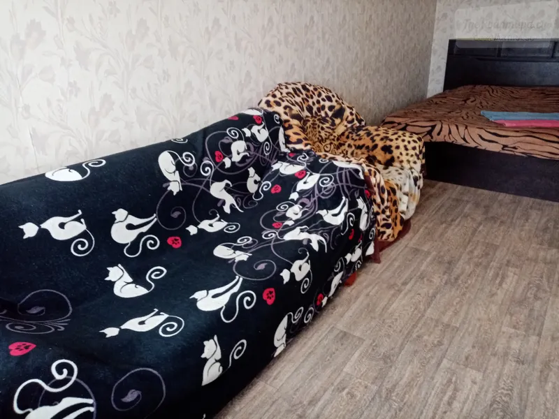 Фото квартиры 6