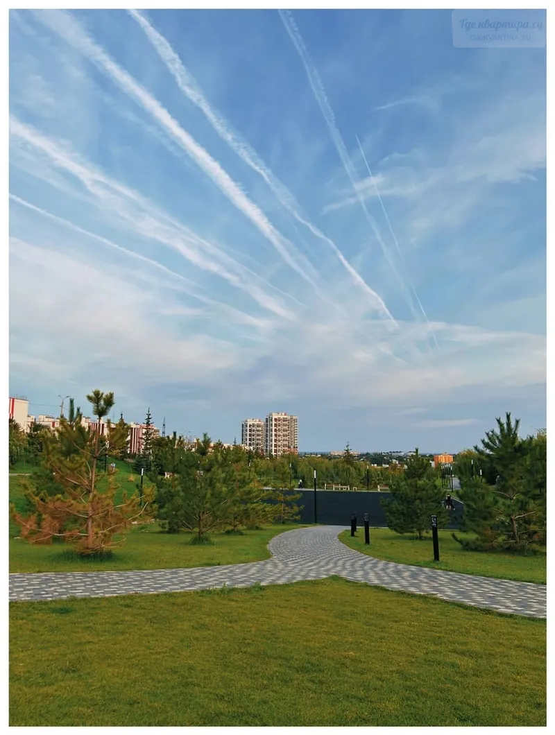 Фото квартиры 15