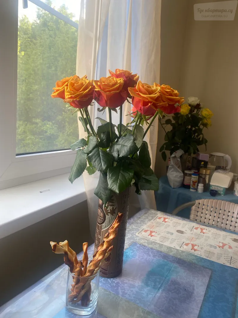 Фото квартиры 9